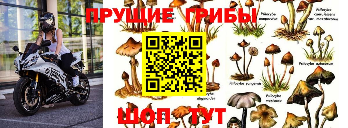 Псилоцибиновые грибы ЛСД  Вход с VPN  Галлюциногенные грибы MAGIC MUSHROOMS  Вятские Поляны 